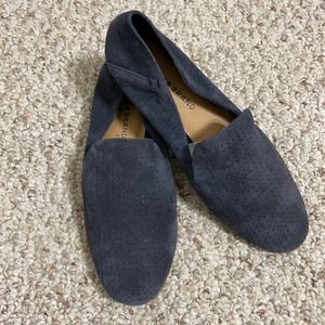Lucky Blue Perforated Blue Suede Shoes
